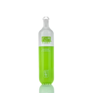 Flum Float Disposable Device – Summer Strawkiwi