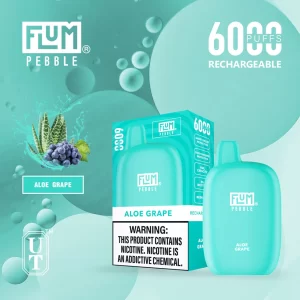 Flum Pebble 6000 Disposable Device – Aloe Grape