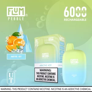 Flum Pebble 6000 Disposable Device – Arctic Icy
