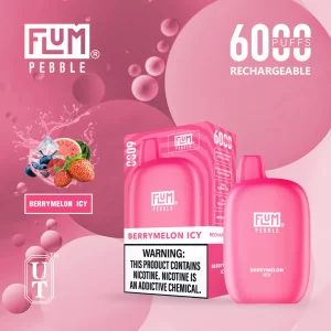 Flum Pebble 6000 Disposable Device – Berry Melon Icy