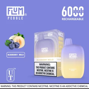 Flum Pebble 6000 Disposable Device – Blueberry Melo