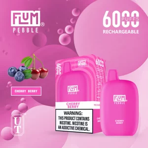 Flum Pebble 6000 Disposable Device – Cherry Berry