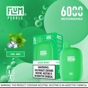 Flum Pebble 6000 Disposable Device – Cool Mint