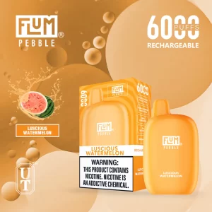 Flum Pebble 6000 Disposable Device – Luscious Watermelon