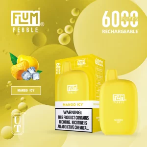 Flum Pebble 6000 Disposable Device – Mango Icy