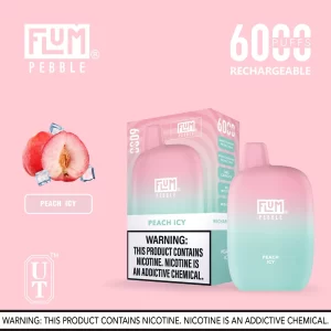 Flum Pebble 6000 Disposable Device – Peach Icy