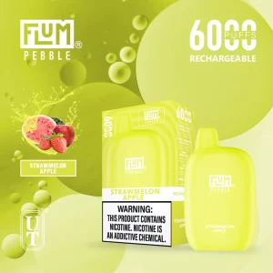 Flum Pebble 6000 Disposable Device – Strawmelon Apple