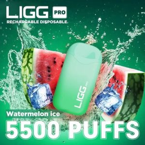 LIGG PRO 5500 Disposable Vape Device