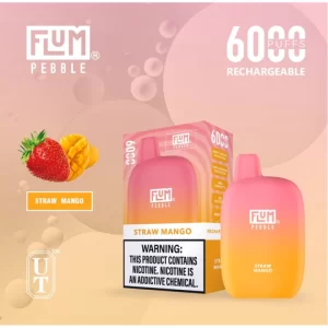 Flum Pebble 6000 Disposable Device – Straw Mango