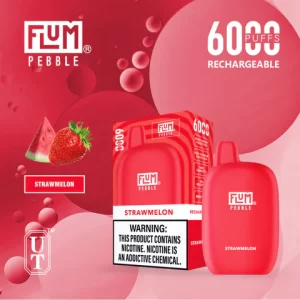 Flum Pebble 6000 Disposable Device – Strawmelon