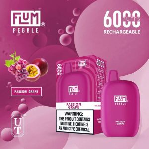 Flum Pebble 6000 Disposable Device – Passion Grape