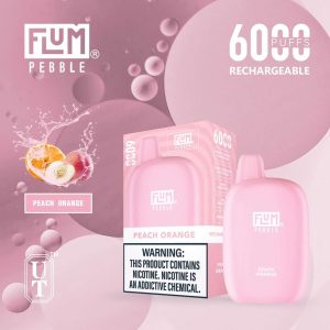 Flum Pebble 6000 Disposable Device – Peach Orange
